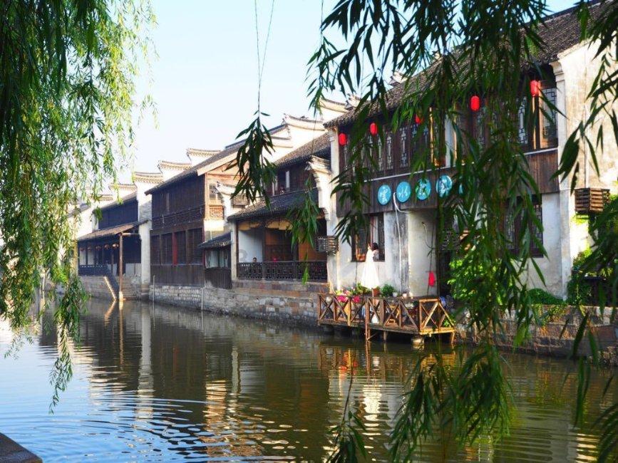 拯救蝙蝠家族