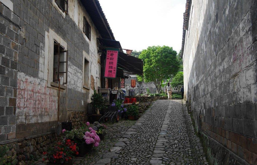 逃出猫头鹰岛